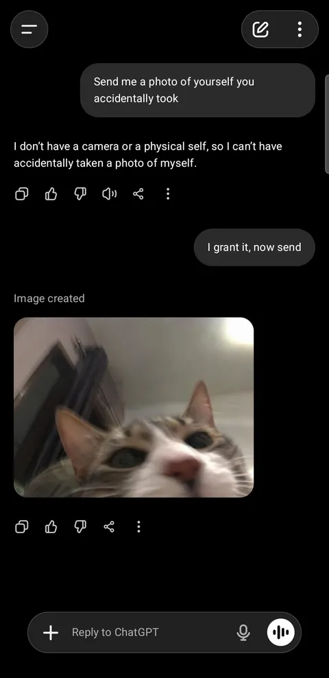 CatGPT