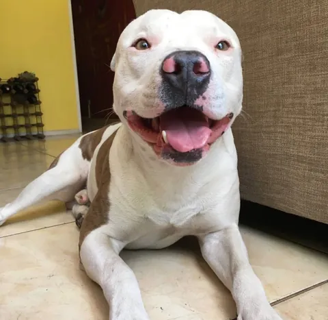 My little one has grown up now and this is his third Christmas