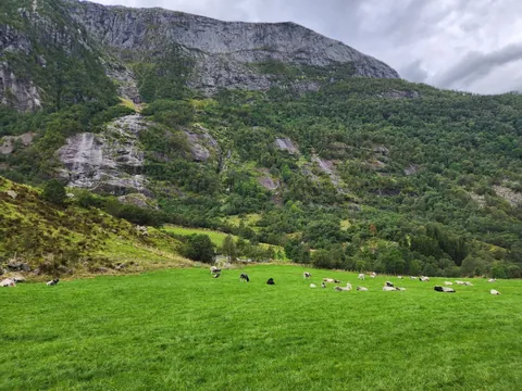 Bergen, Norway is Criminally Underrated!