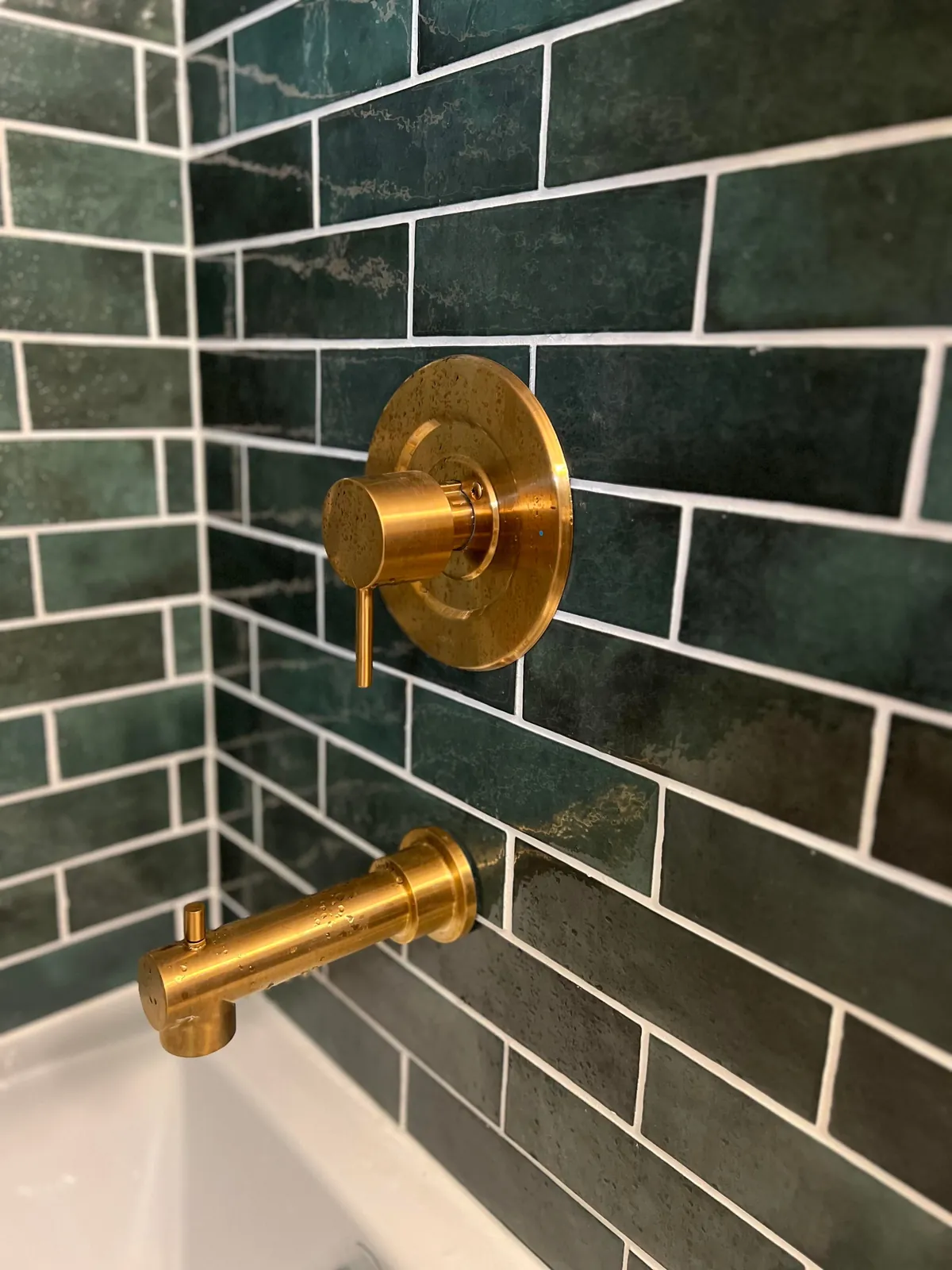 Remodeling the Only Bathroom in the House