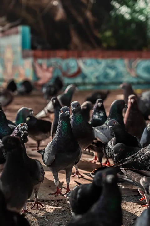 Puerto Rico Highlights from Our Family Trip 🇵🇷