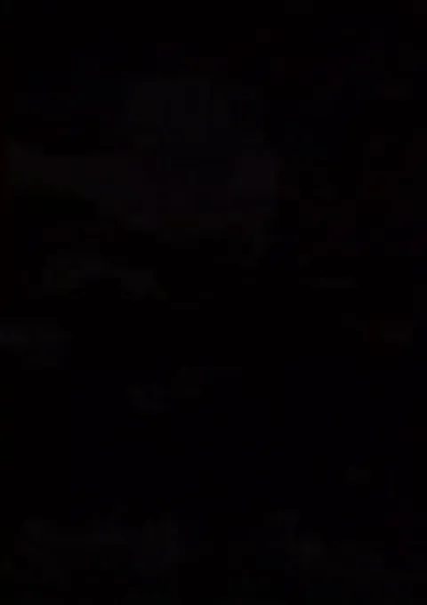 🔥Velvet worms have existed on earth since the Cambrian period (+500,000,000 years ago) - they hunt by slime cannon, shooting an adhesive substance which coats and hardens over prey