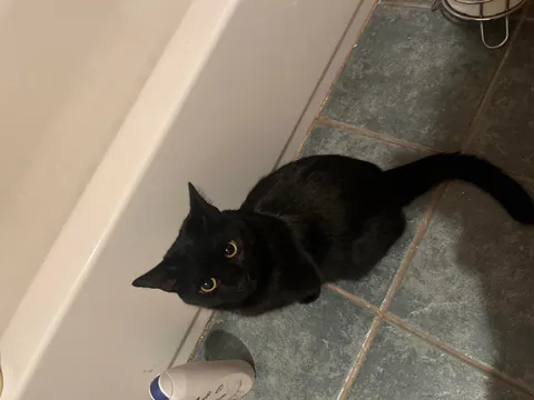 my playful little guy