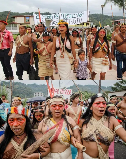 The Waorani people of Ecuador have won a major legal victory after a criminal court blocked oil companies from entering their ancestral lands in Pastaza province for exploration.