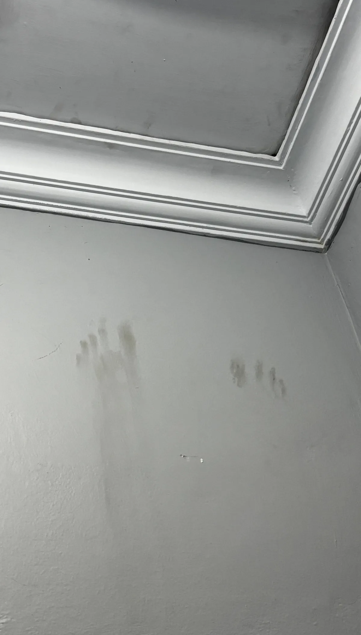 Roof guy left a barefoot footprint near my ceiling.