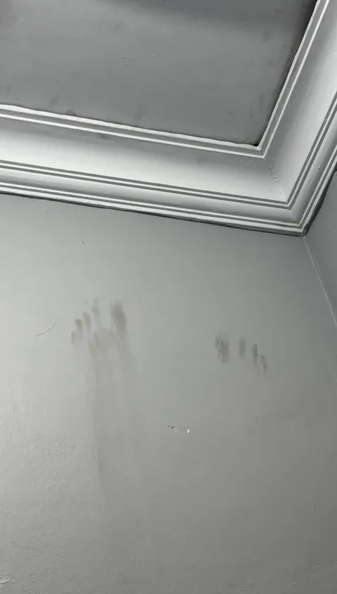 Roof guy left a barefoot footprint near my ceiling.