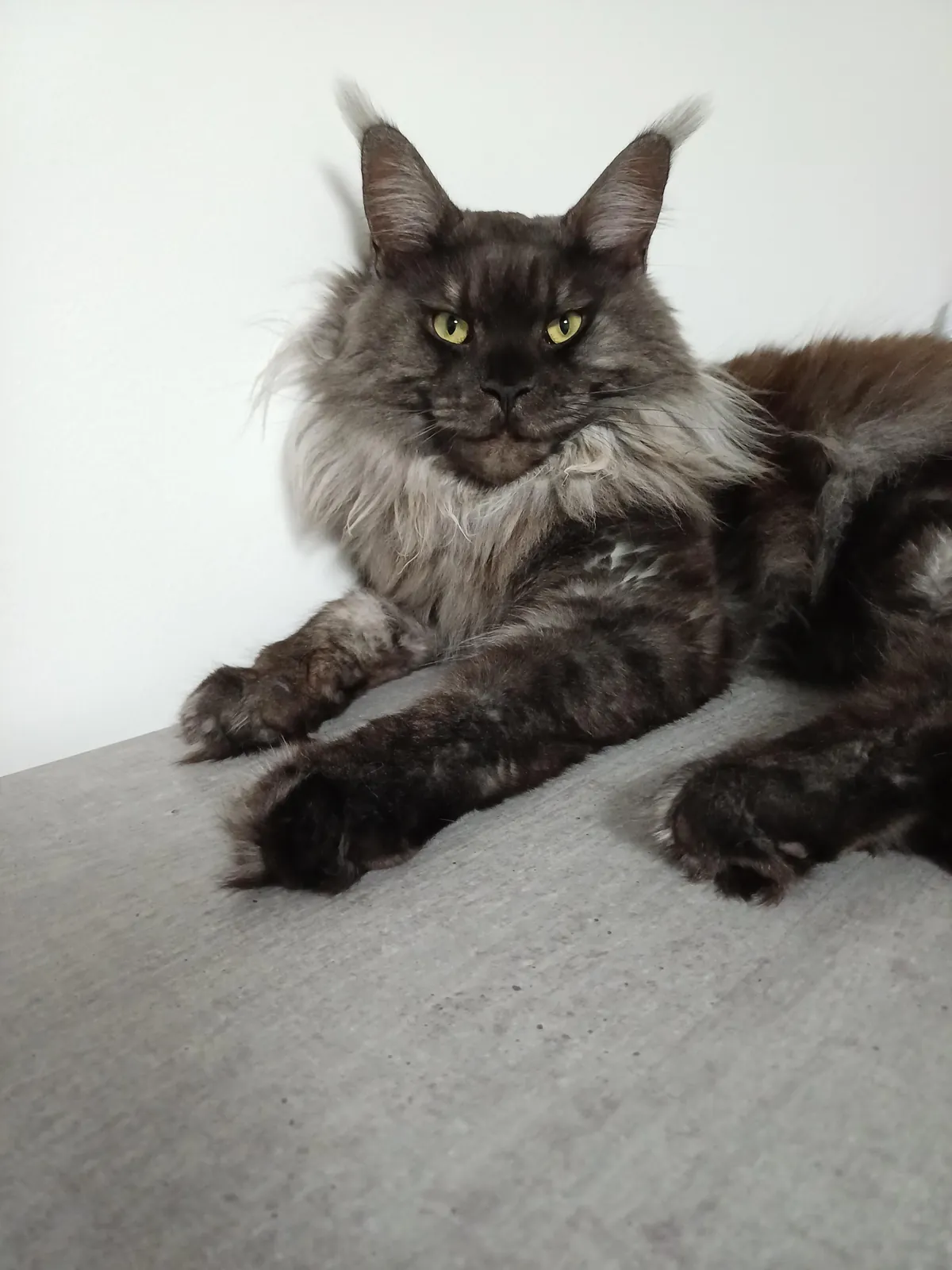 Hi reddit, it's Théoden. Did not see you for a long time