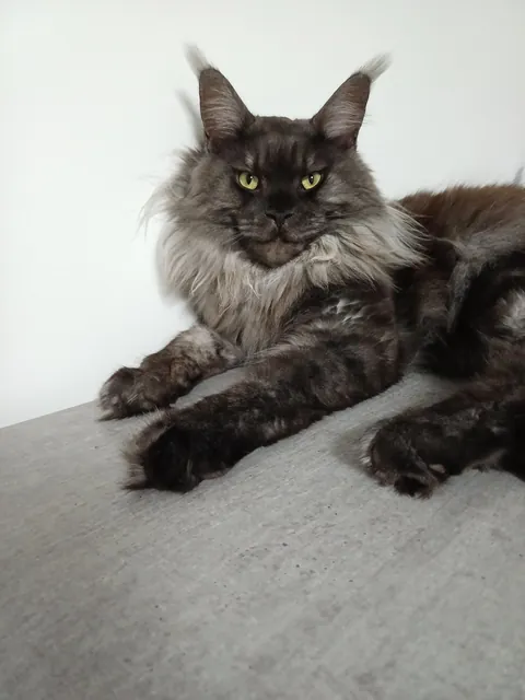 Hi reddit, it's Théoden. Did not see you for a long time