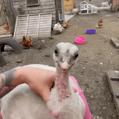 She appreciates a nice massage