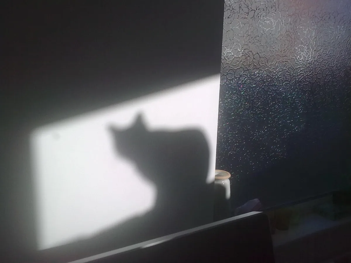 The Many Moods of Lola