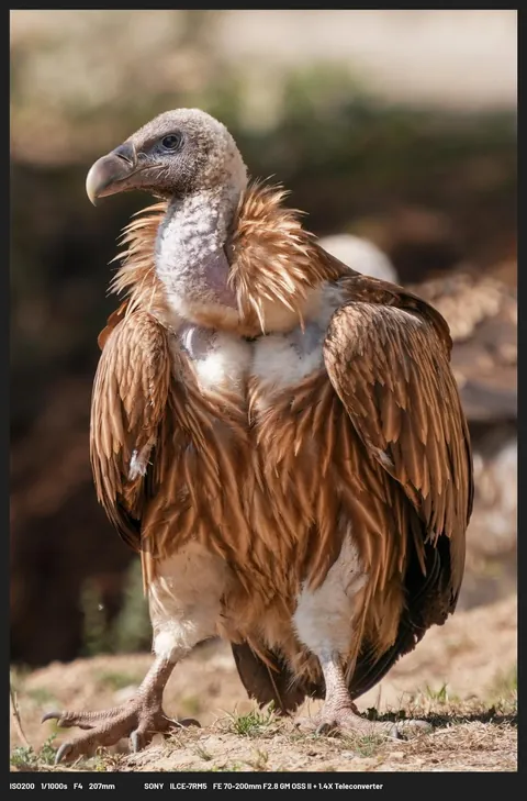 Some of my favourite images from Bhutan