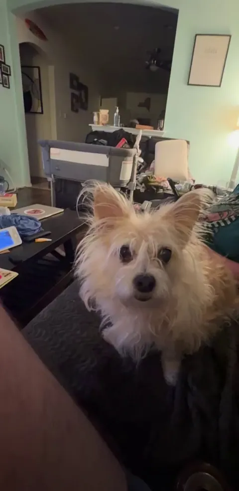 The most impressive internal clock ever