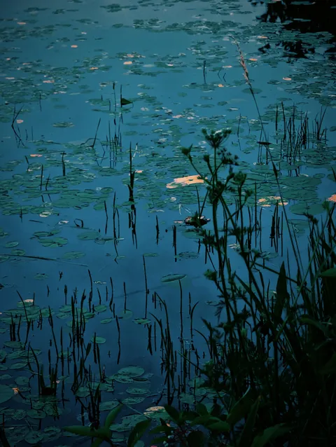 ITAP of a pond at dusk