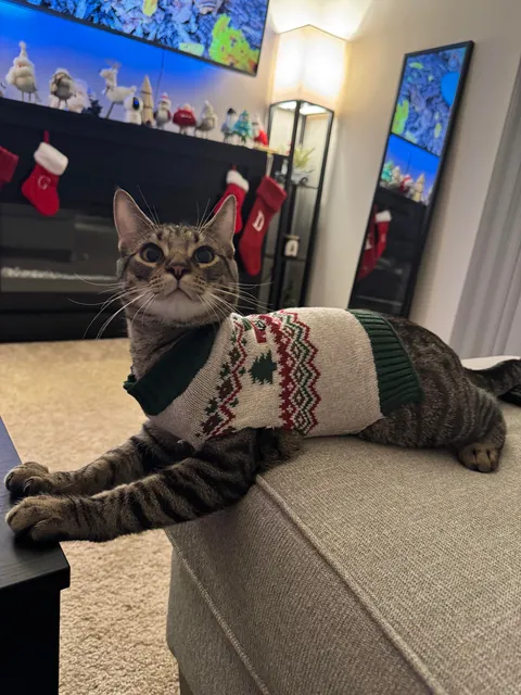 Love these guys. Posted them on here once before but had to share again