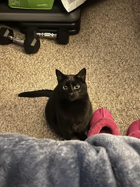 He sits, unblinking, staring into my soul…