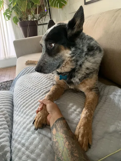 I just need a little snuggle ….