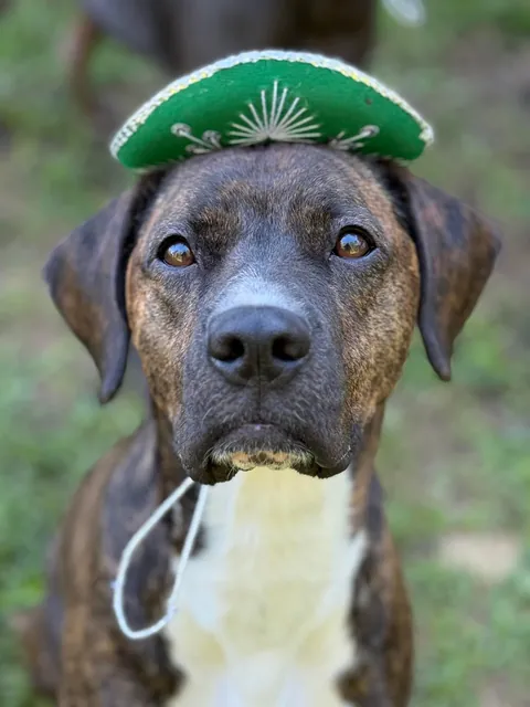 My mommy says I’m a very pretty girl