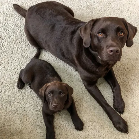 Like mother like daughter 😍