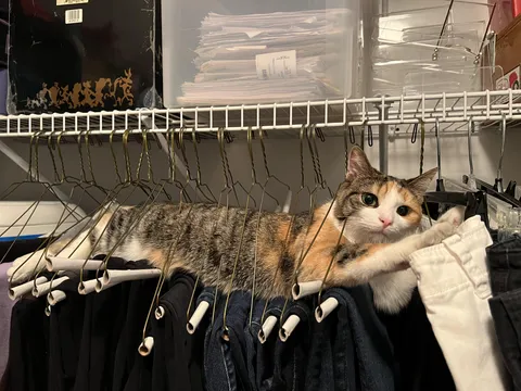 my nutjob (she gets up there all by herself)