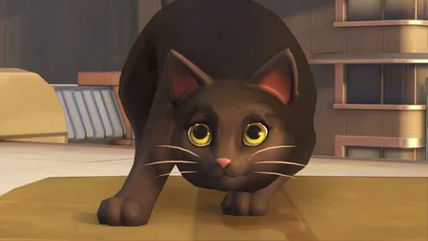 I never thought I would be experiencing this again