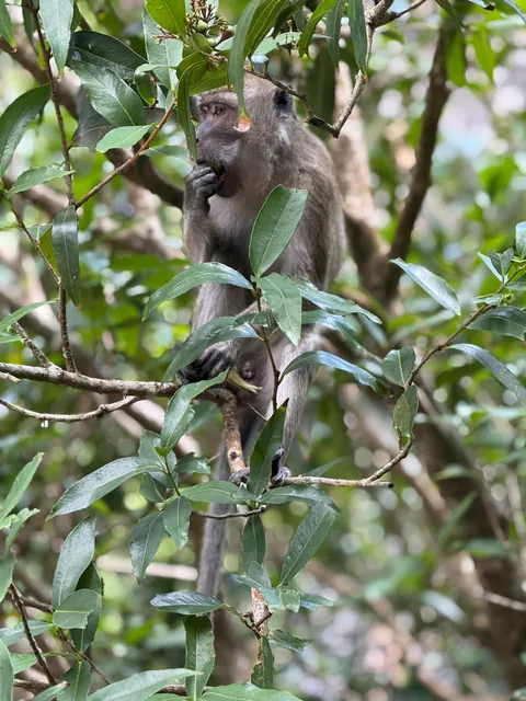 8 days vacation in Mauritius.