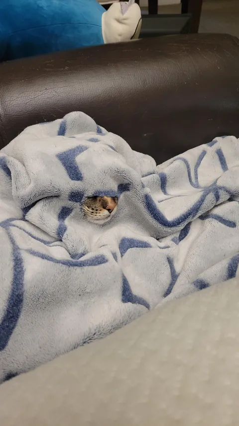 How I found out about a hole in my blanket