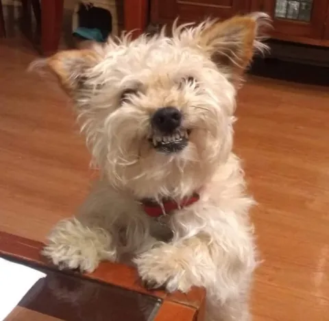 Here's my kinda old guy, before and after