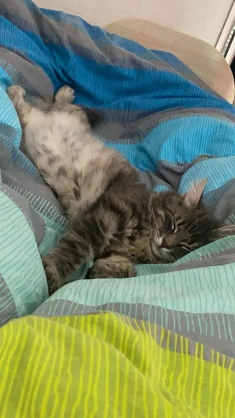 For me, mornings don’t get better than this. ☀️