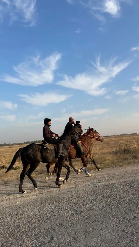 I Drove an Electric Car from Germany to China : 12,500km in 30 days.