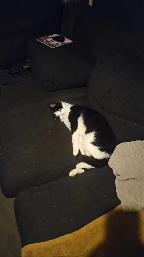 I dont think Grimm has any braincells....