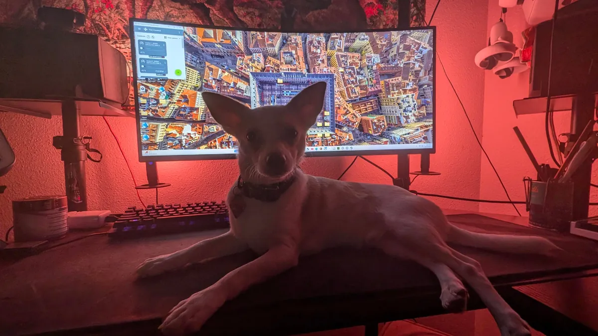 I haven't had my own pup in 12 years, I got the perfect one, his name is Franklin, and he loves everyone.