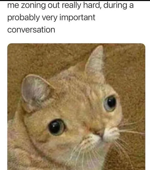 Me 35 minutes into the zoom meeting