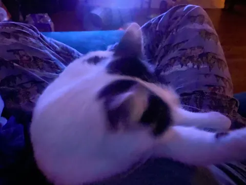 How lucky am I that my cat cuddles with me for hours?