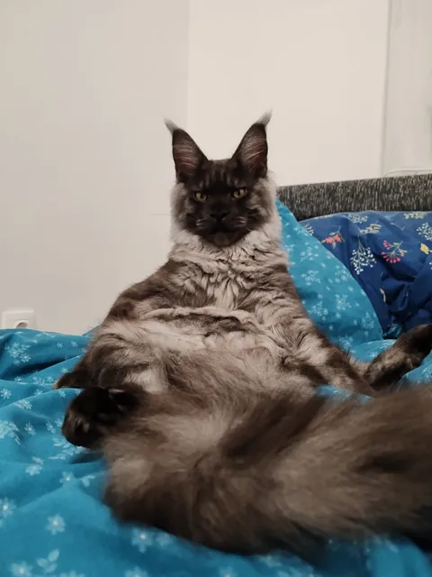 Théoden turned 1 year old.