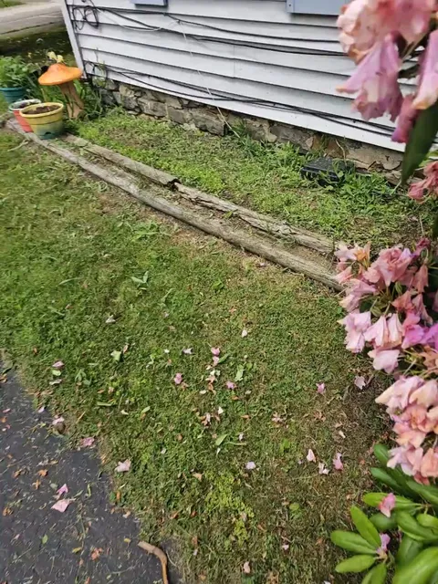 Upstairs neighbor cut my entire garden down with a weed whacker.
