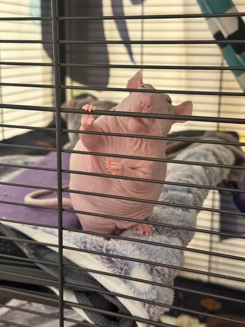 My favorite pictures of Explosion facing forward