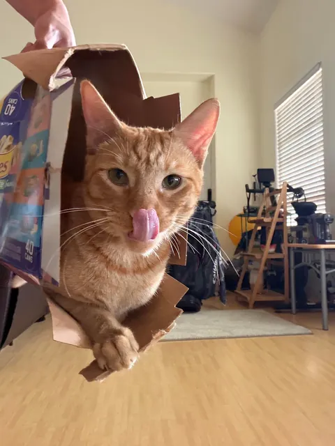 Check out my new suitcase