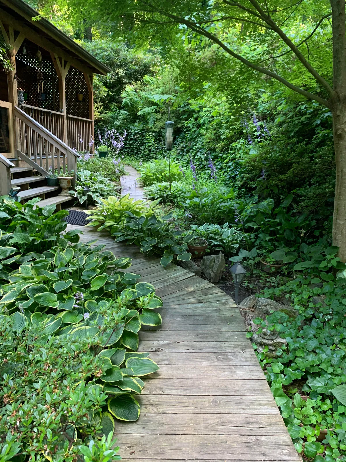 This walkway outside my grandmothers house is beautiful.