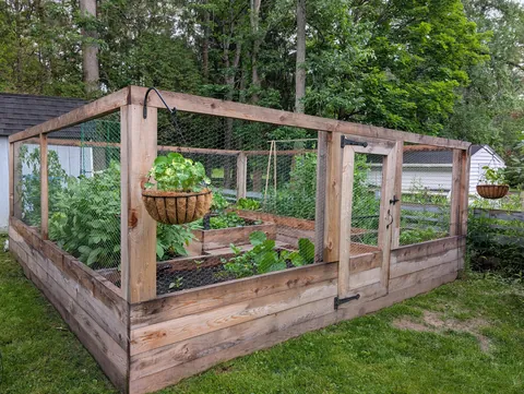 Caged bed garden, prison?