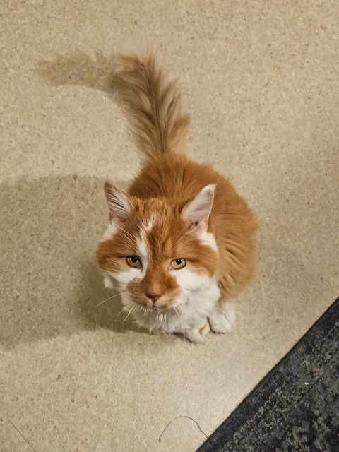 I loved you for 10 years and 1 day