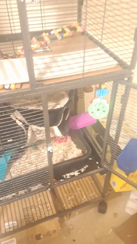 He's snaccing when I hold him now