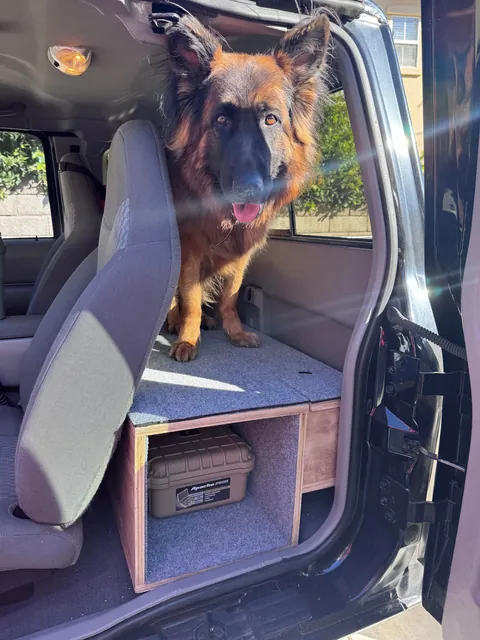 Update: as requested - the dog to complete the DIY truck box 