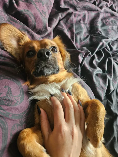 "Mother i need more attention"