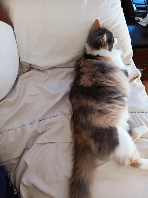 Delivered a pizza and came home with the best tip ever