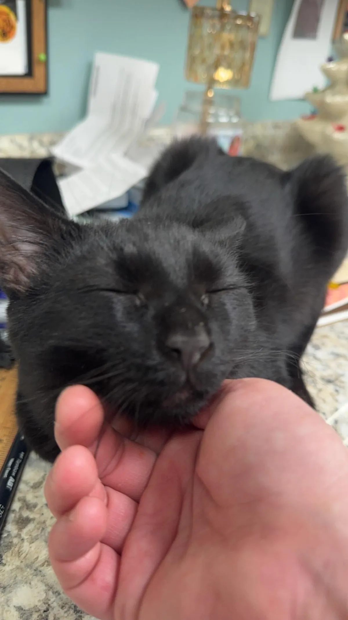 The most handsome man