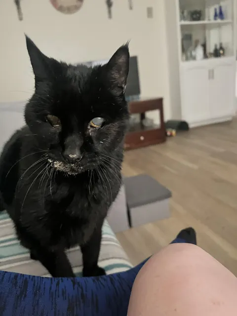 This guy turned 19!! Happy belated birthday Coal! 