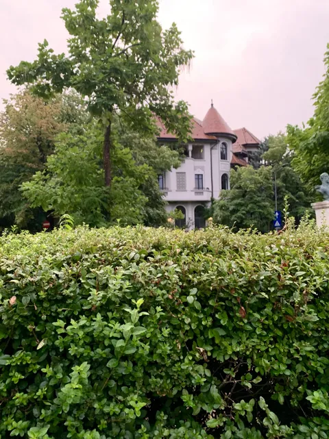 Cozy after-the-rain walk in a lush old house district in Bucharest, Romania