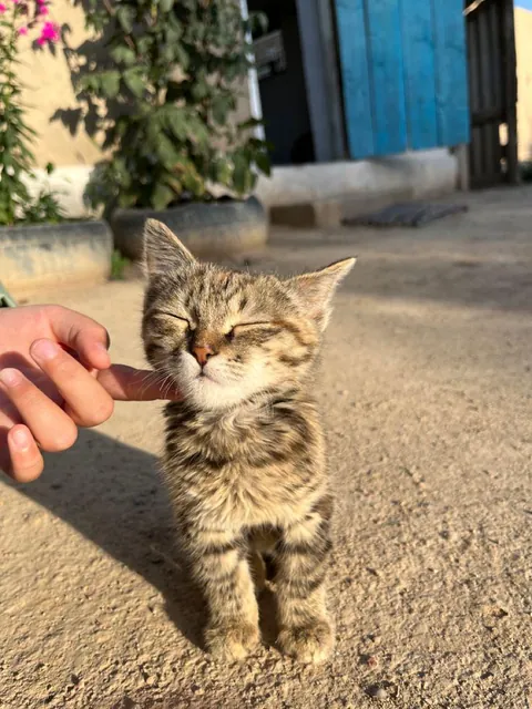 Suggest a name for her