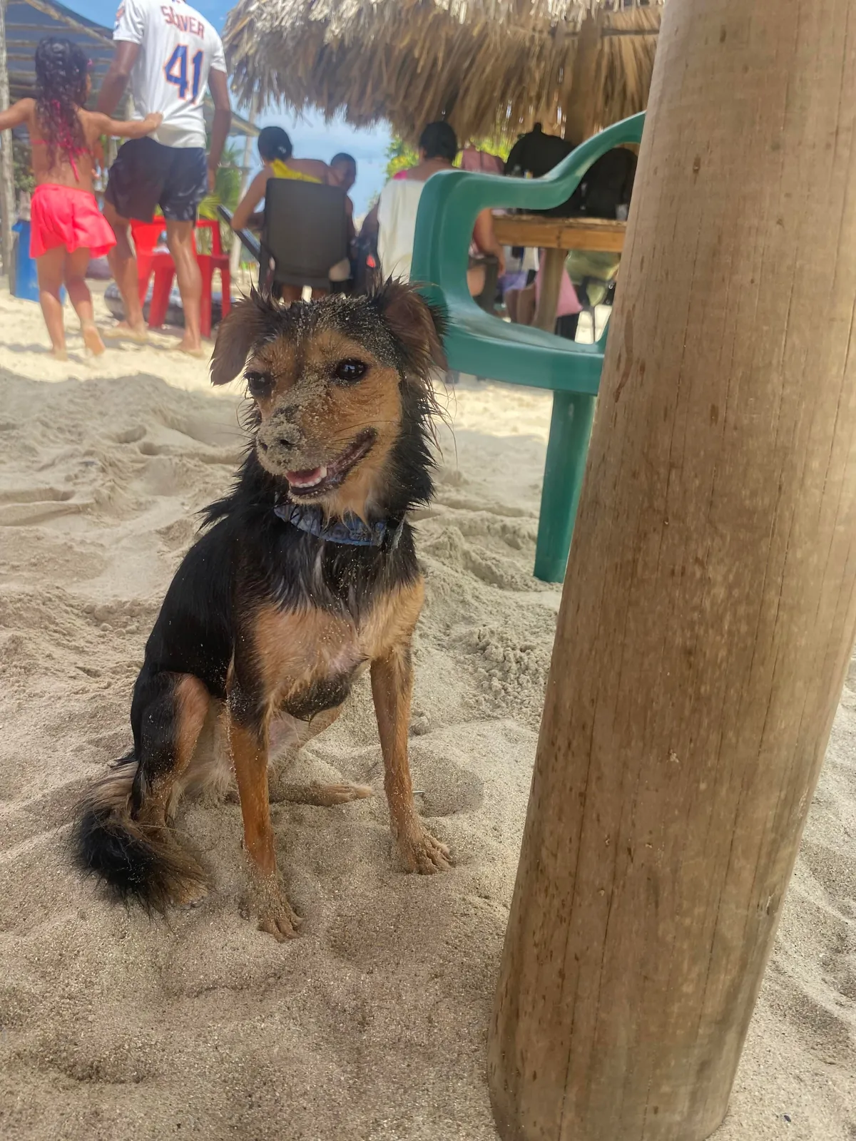 Today he went to the beach for the first time and had fun with the sand