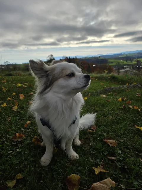 Wish you a nice start into November